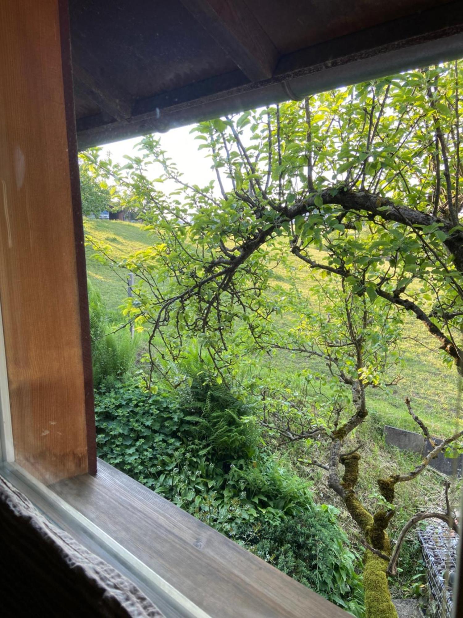 Naturnahe Familienwohnung Ruschegg ภายนอก รูปภาพ