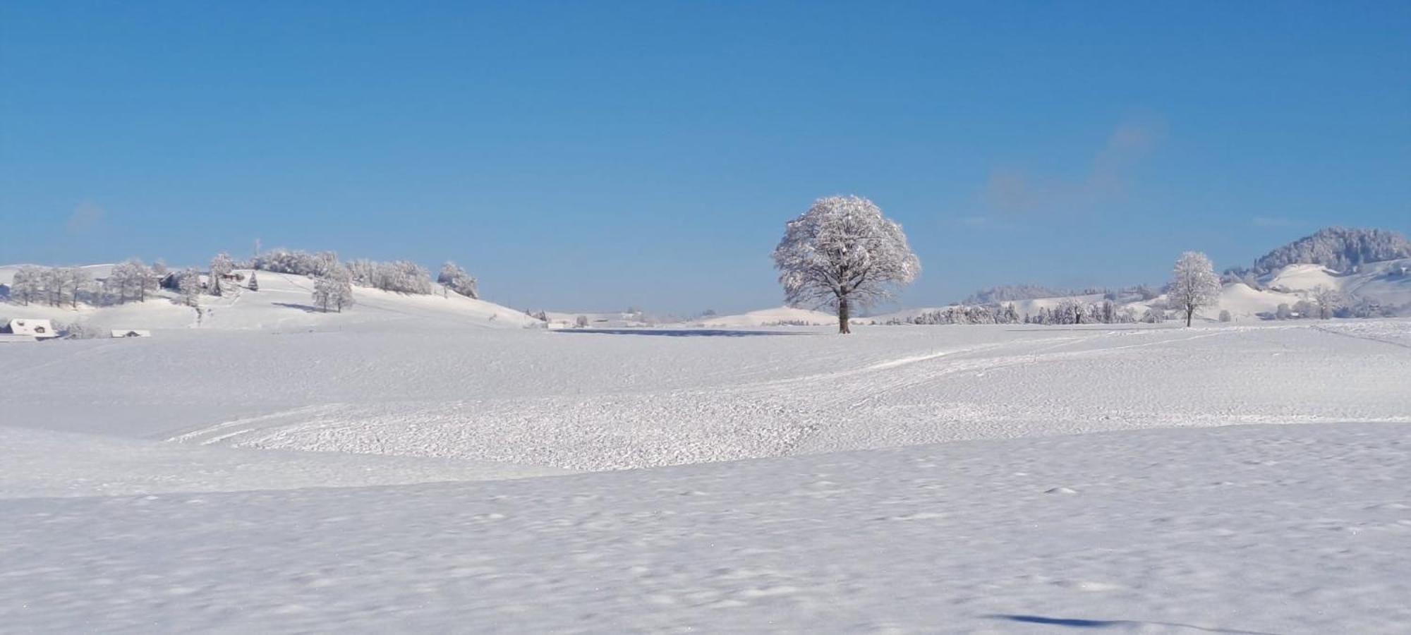 Naturnahe Familienwohnung Ruschegg ภายนอก รูปภาพ