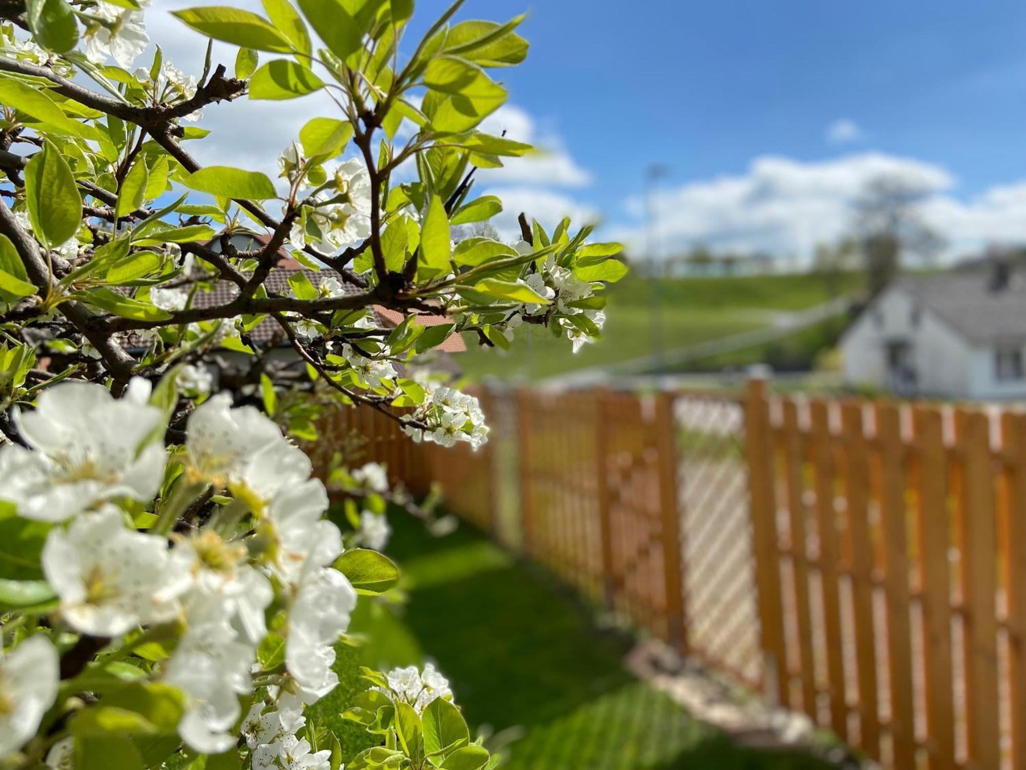 Naturnahe Familienwohnung Ruschegg ภายนอก รูปภาพ